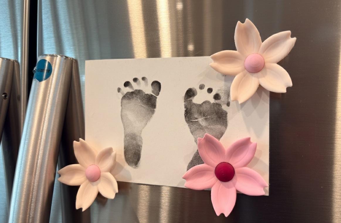 CherryBayMag - Sakura Bonsai Magnet Tree - Fridge, idea board magnets